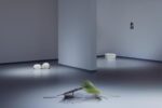 Gianni Caravaggio, Per analogiam, installation view at GAM, Torino, 2023. Photo Luca Vianello e Silvia Mangosio