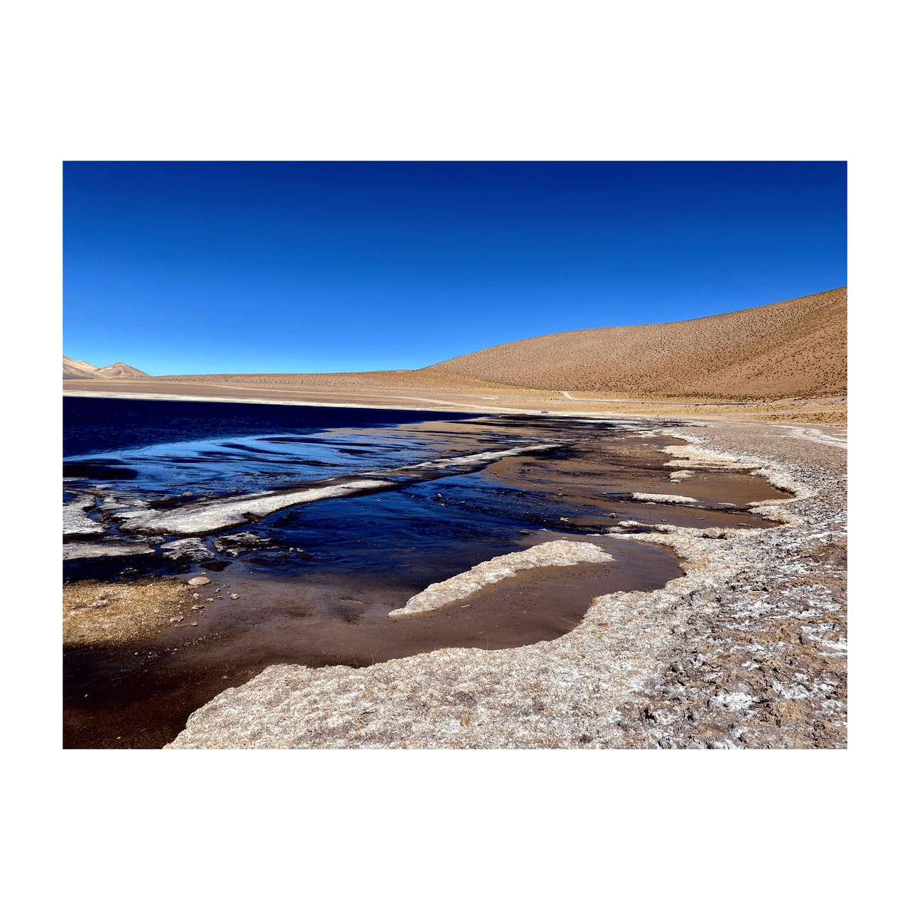 Giulia Fumagalli, Deserto di Atacama, Salar del Huasco, Cile, 2022. Photo Giulia Fumagalli