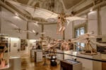 Il museo Leonardo3 di Milano verso la chiusura: non c’è spazio per la cultura in Galleria Vittorio Emanuele?