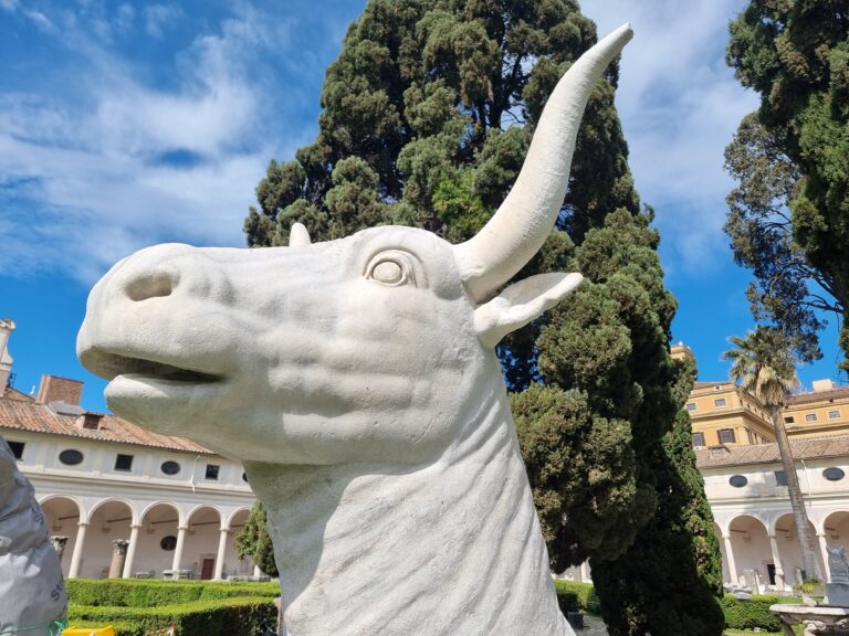 Teste di animale antiche e moderne, chiostro di Michelangelo, Terme di Diocleziano