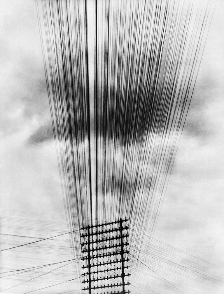 Tina Modotti, Telegraph Wires, México, Q.  1924.