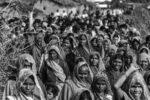 Vinit Gupta, da/from If a tree falls in a forest ©Vinit Gupta