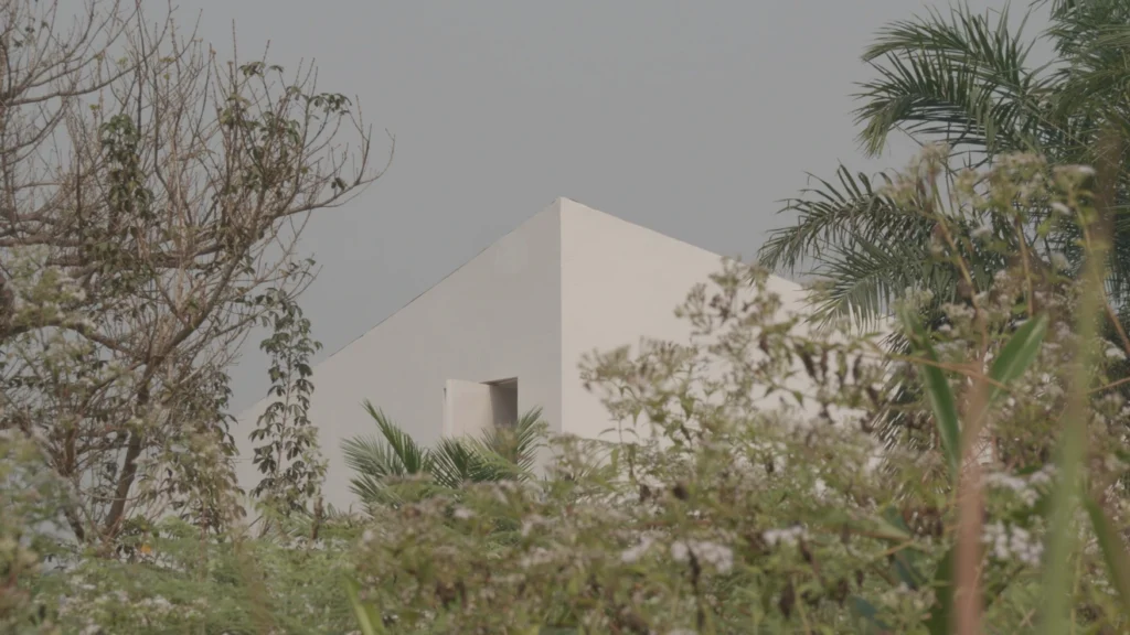 White Cube Lusanga © Renzo Martens Giustizia coloniale ed ecologica: il collettivo congolese CATPC sarà al Padiglione dell'Olanda alla Biennale Arte 2024
