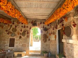 In Salento il festival che unisce fotografia, agricoltura e sostenibilità