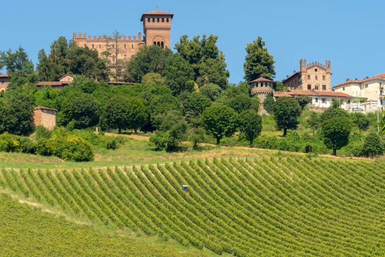 gabiano castello 768x512 1 Panorama 2024 sarà in Monferrato. Va in Piemonte la mostra delle gallerie di Italics