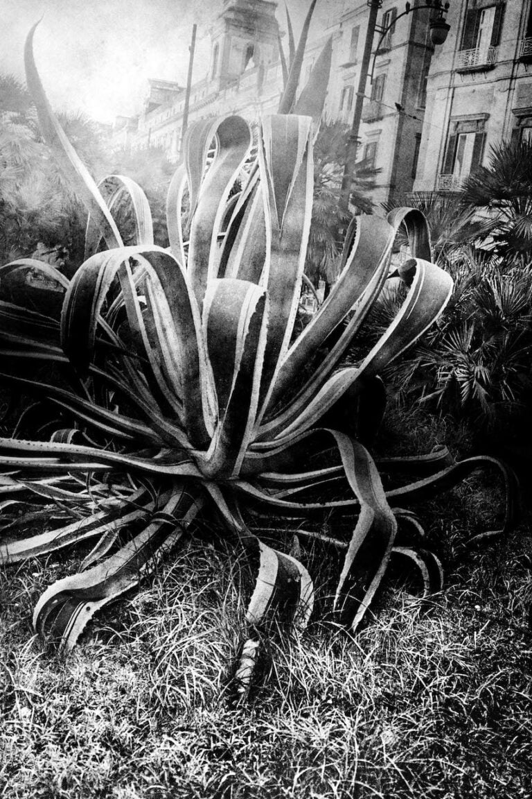 © Anders Petersen, Napoli, 2022. Courtesy of the Artist & Spot home gallery, Napoli