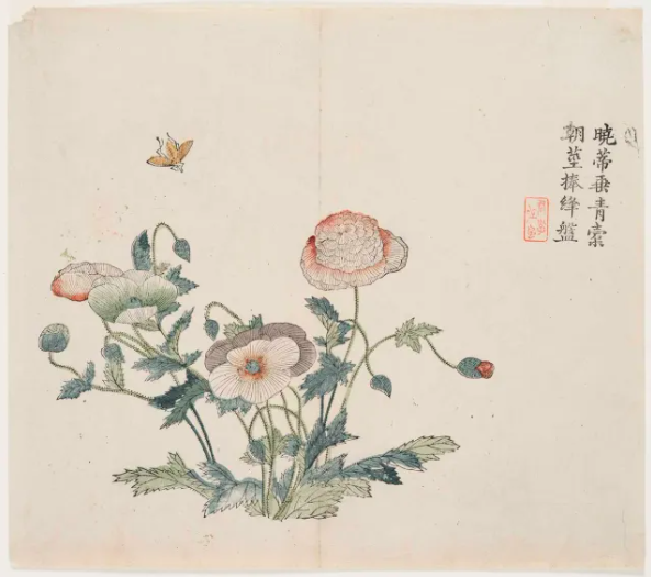 Carina, ma mortale, un'illustrazione dei papaveri, da cui proviene l'oppio, da un libro cinese stampato in xilografia del XVIII secolo © Harvard College