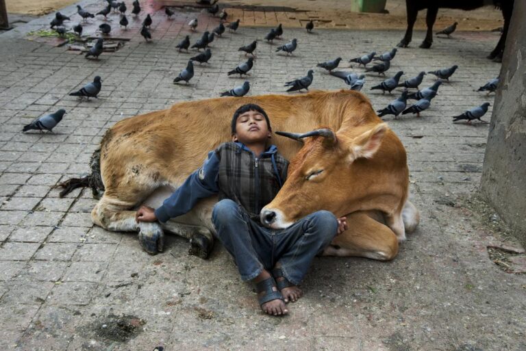 Kathmandu Nepal 2013 ©Steve McCurry Le icone di Steve McCurry a Pisa. La mostra fotografica agli Arsenali della Repubblica