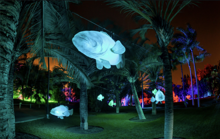 Lights in Nature Life a Roma2 Ligths in Nature. La mostra immersiva nei Giardini di Palazzo Brancaccio a Roma