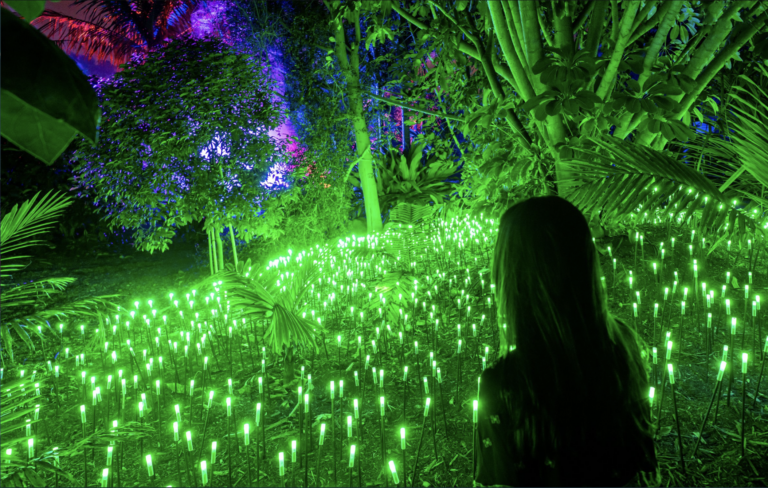Lights in Nature Life a Roma3 Ligths in Nature. La mostra immersiva nei Giardini di Palazzo Brancaccio a Roma