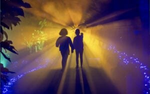 Lights in Nature – Life