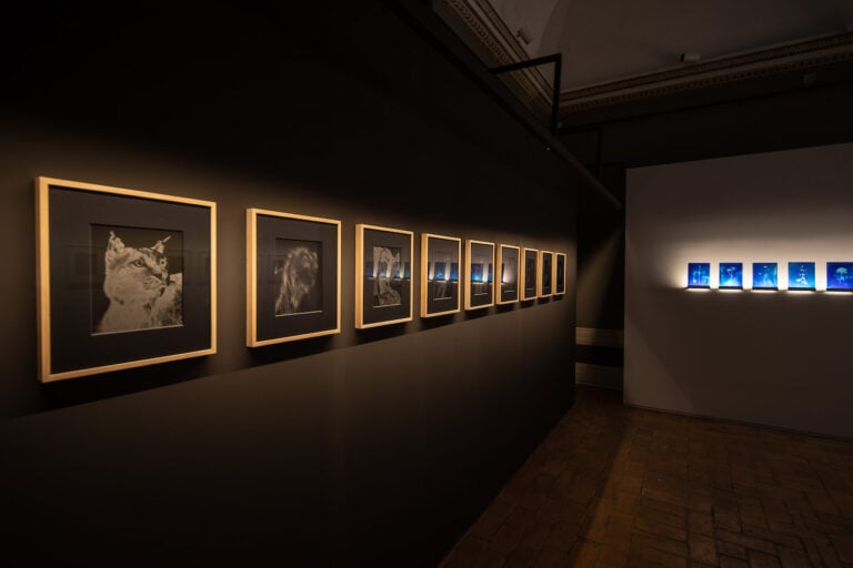 Lo Sguardo di Dante, installation view at Palazzo Barberini, Roma, 2023. Photo Alberto Novelli