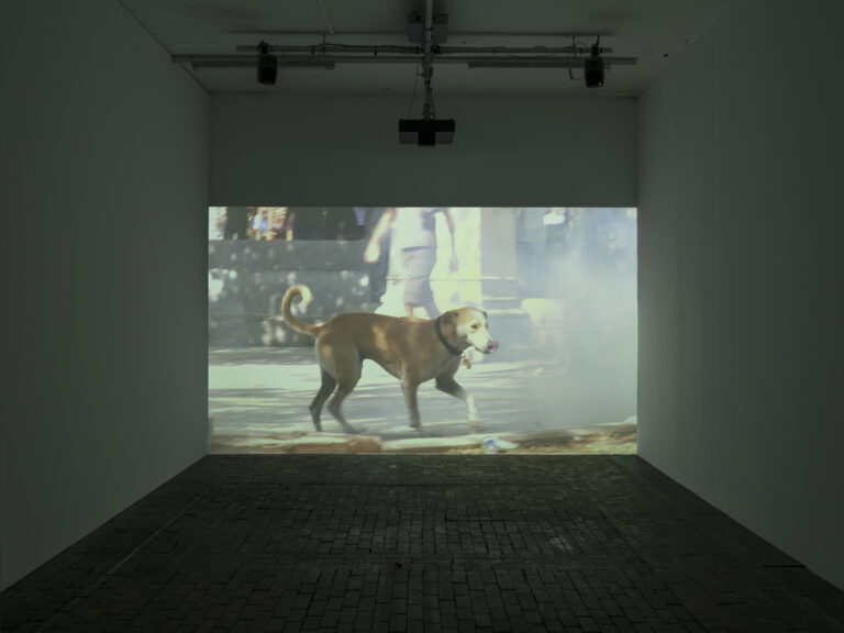 Menelaos Karamaghiolis. Re:member Your House, installation view at CAC - Centre d'Art Contemporain, Ginevra, 2023