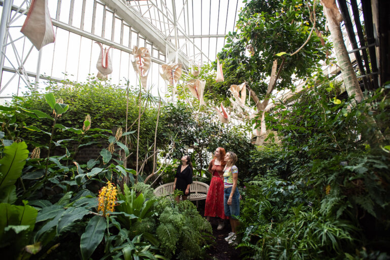 Ranjani Shettar On the Wings of Crescent Moons 2023. ©MAX COLSON BARBICAN ART GALLERY Ranjani Shettar porta i suoi fiori evanescenti al Barbican Conservatory di Londra