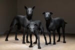 Le spettacolari sculture di Ron Mueck in mostra a Milano