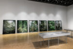 Vincenzo Castella, Architetture oblique, installation view at Triennale, Milano, 2023. Photo Gialuca Di Ioia
