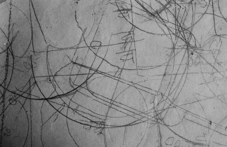 2 Tacita Dean Still Life still 2009 Film a colori in 16mm muto 5½ minuti Courtesy lartista e Marian Goodman Gallery New York Parigi Arte Fiera 2024. A Bologna le mostre e gli eventi da non perdere durante l’art week