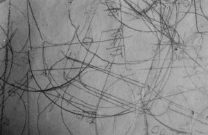 Tacita Dean - Still Life. The studio of Giorgio Morandi
