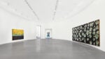 Cy Gavin, New Paintings, installation view at Gagosian, Roma, 2024