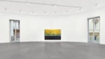 Cy Gavin, New Paintings, installation view at Gagosian, Roma, 2024