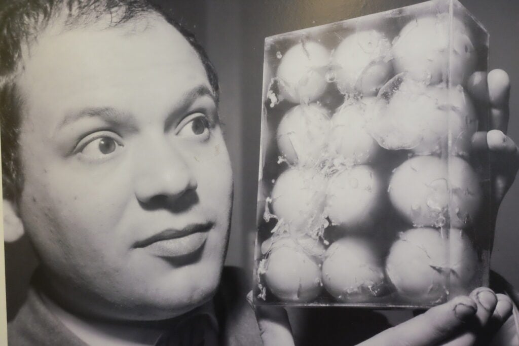 Piero Manzoni ritorna a Herning. La mostra in Danimarca