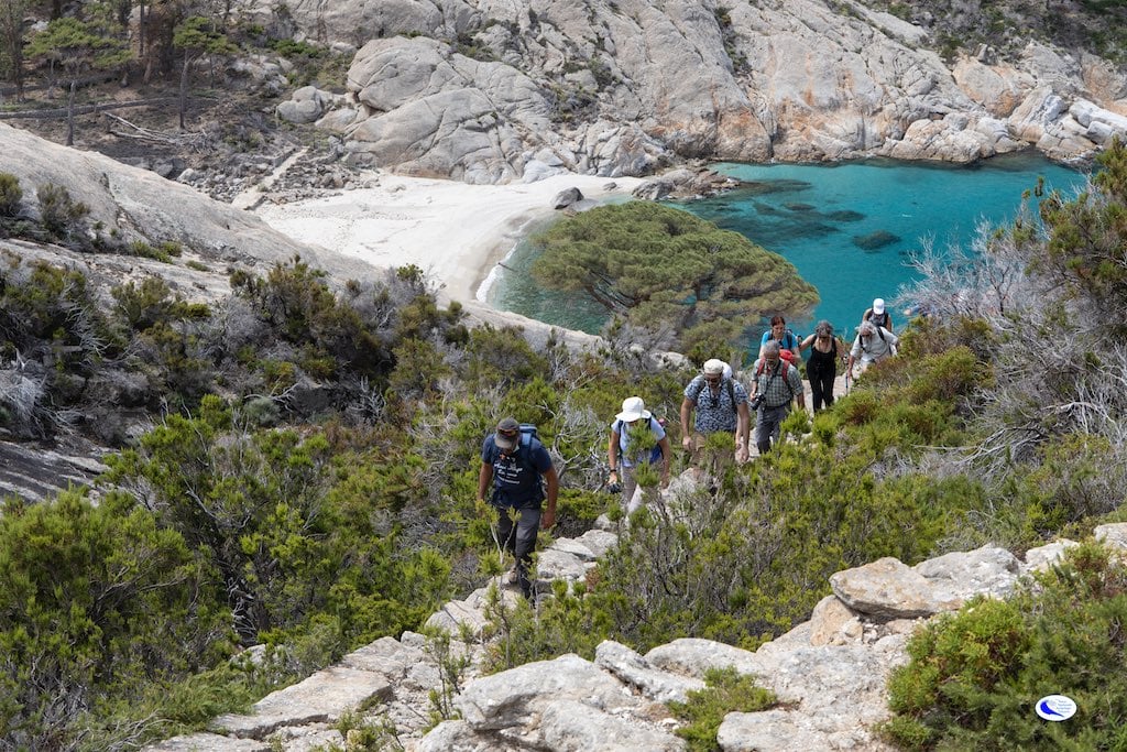 Isola di Montecristo. Photo Parco Nazionale Arcipelago Toscano