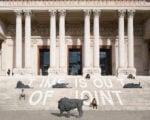 Mattia Panunzio Scalinata dei leoni 2018 Intervista a Cristiana Collu dopo 8 anni da direttrice alla Galleria Nazionale di Roma
