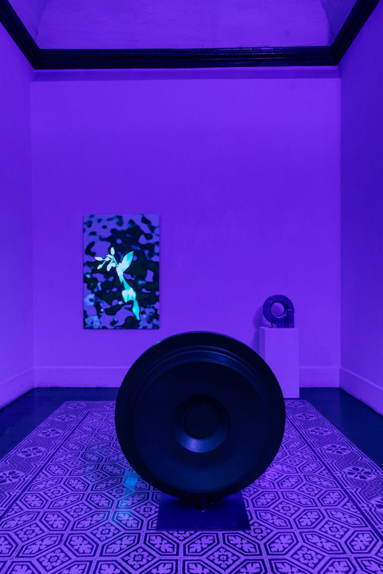 Maxime Rossi, A cosmos beneath the nail, installation view at Galleria Tiziana Di Caro, Napoli, 2023-2024. Photo © Danilo Donzelli Photography