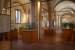 Museo Archeologico di Cesena, com'era fino al 2018