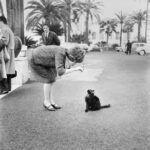 Jolanda Rossin gioca con un gatto a Sanremo, XI Festival, 1961. Fotografia di Franco Gremignani © Archivio Publifoto Intesa Sanpaolo