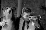 Tony Renis con due cani Collie, XII Festival di Sanremo, 1962. Servizio fotografico di Gianfranco Mauri e Danilo Pajola © Archivio Publifoto Intesa Sanpaolo