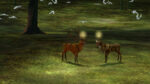 Tale of Tales, The Endless Forest (2005-in corso) (immagine via Indiegogo)