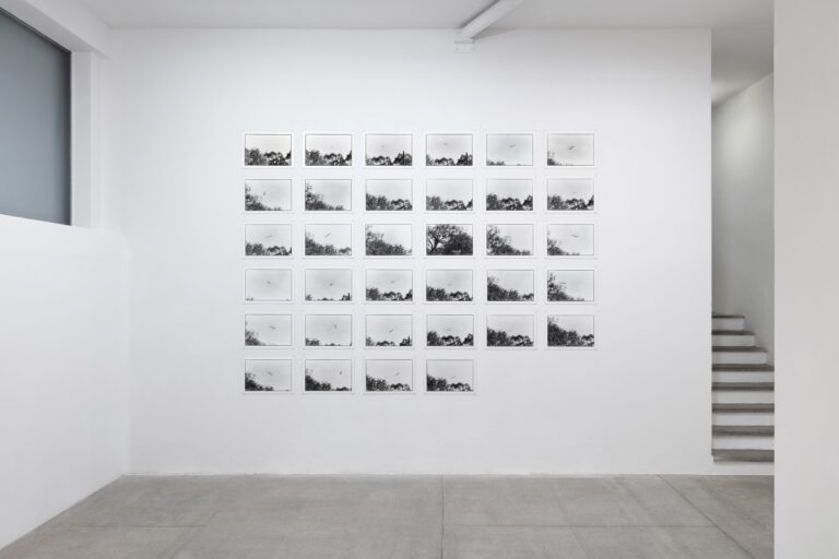 Zoe Leonard, Excerpts from Al Río / To the River, installation view at Galleria Raffaella Cortese, Milano, 2023. Courtesy of the artist and Galleria Raffaella Cortese. Photo Andrea Rossetti / Héctor Chico.