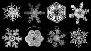 I fiocchi di neve illustrati in un video animato con Brian Cox