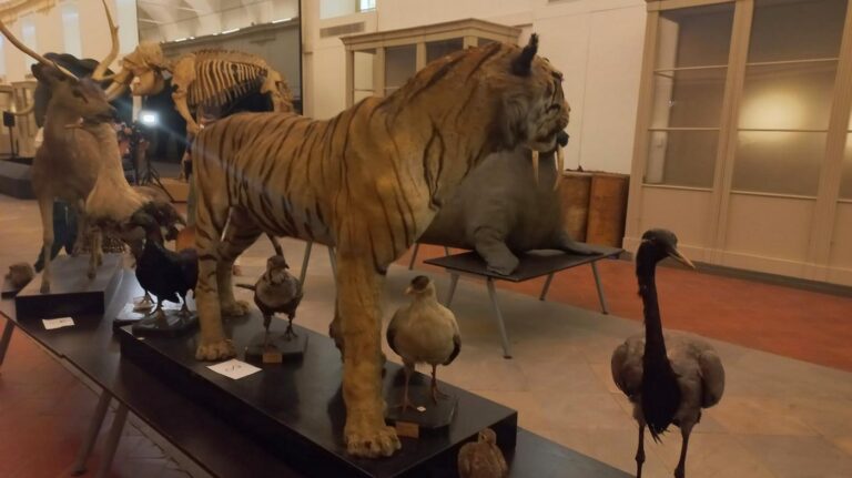 Museo Regionale di Scienze Naturali di Torino