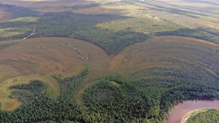 scoperta archeologica siberia Tutte le scoperte archeologiche di gennaio 2024 in Italia e all'estero