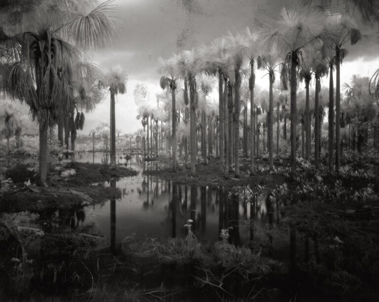 Richard Mosse, Broken Spectre, 2022 Film still © Richard Mosse. Broken Spectre was co-commissioned by the National Gallery of Victoria, VIA Art Fund, the Westridge Foundation, and the Serpentine Galleries. Additional support was provided by Collection SVPL and Jack Shainman Gallery. Director/Producer: Richard Mosse, Cinematographer/Editor: Trevor Tweeten, Composer/Sound Design: Ben Frost