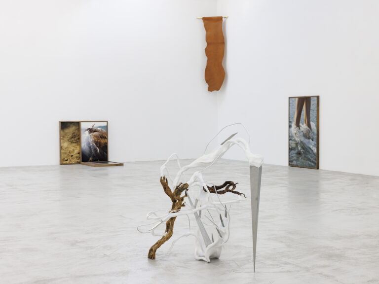 After Reminiscence, installation views at Cassina Projects, 2024. Courtesy Cassina Projects. Photo Roberto Marossi