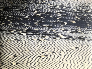 Carolina Gozzini - Incroci