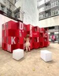 CWLane Reading Space. Courtesy Francesco Rossini