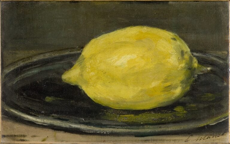 Il limone di Manet in mostra a Roma. Così Villa Medici riscopre la storia degli agrumi