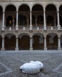 Jago, Look down, Palazzo Reale di Palermo