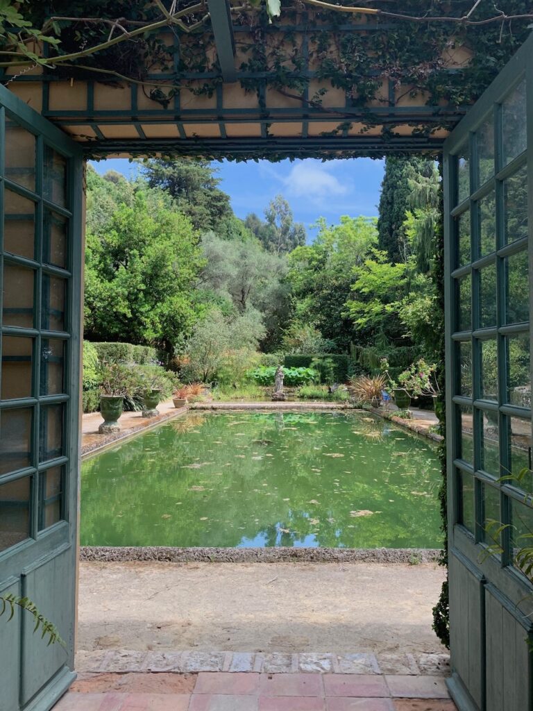 Jardin Serre de la Madone Menton. Photo Alix Kahlmann La storia dei giardini di Mentone, paradiso delle piante esotiche