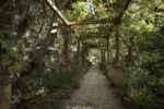 Jardin Botanique exotique du Val Rahmeh, Menton. Photo A. Iatzoura