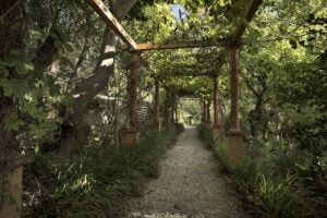 La storia dei giardini di Mentone, paradiso delle piante esotiche