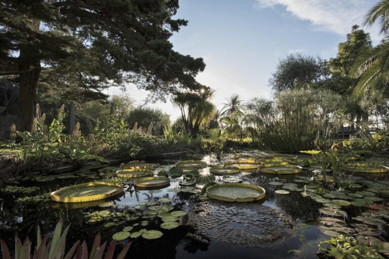 Jardin botanique du Val Rahmeh, Menton. Photo MNHN A. Iatzoura