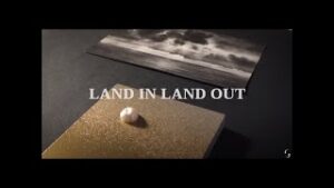 Land In Land Out