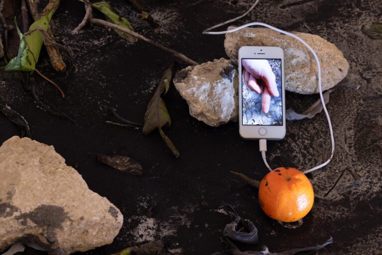 Lettera d’amore, 2024. Laure Prouvost, This Means Love, 2020 (detail). Squid ink, water, branches, stones, leaves, video. Variable dimensions Kunsthalle Lissabon, Lisbon. Curated by Alberta Romano. Exhibition design Carlos Bártolo. Photo: Bruno Lopes.