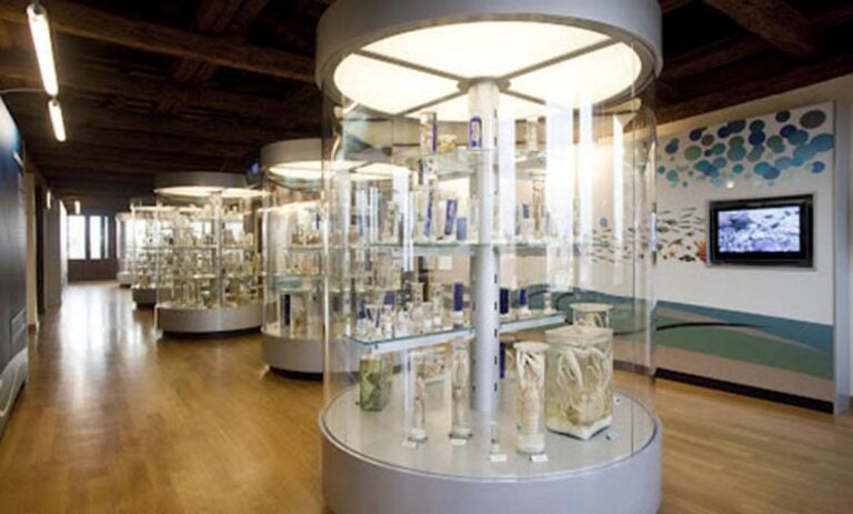 Museo di Zoologia Adriatica Giuseppe Olivi