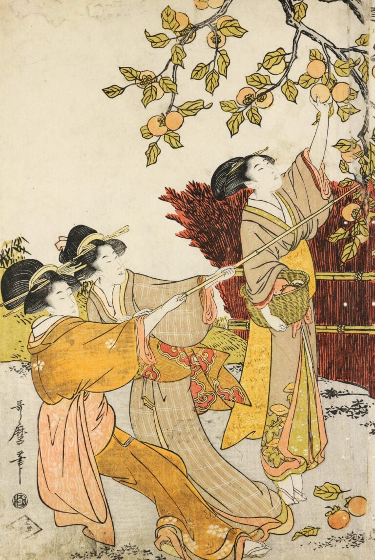 Kitagawa Utumaro, Giovani donne e inserviente raccolgono i cachi
